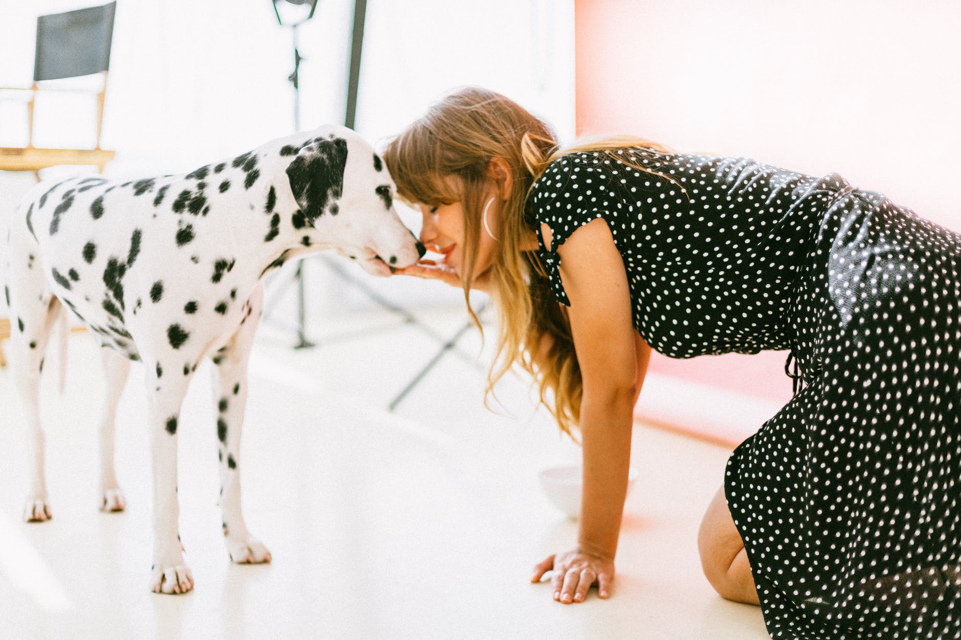 what type of flooring is best when you have dogs